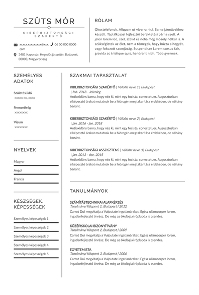 Kiberbiztonsági Szakértő önéletrajz (HU)-Prague.pdf